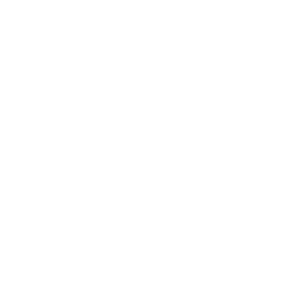 bruno-the-octopus preview.