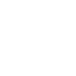 dan-the-penguin preview.